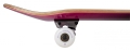 Rocket-double-dipped-skateboard-deskorolka-7 (2).jpg
