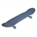 verb-script-deskorolka-skateboard-teal (2).webp